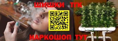 винт Будённовск