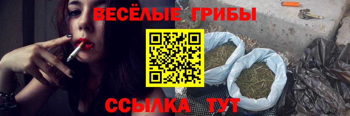 Галлюциногенные грибы мицелий Сертолово